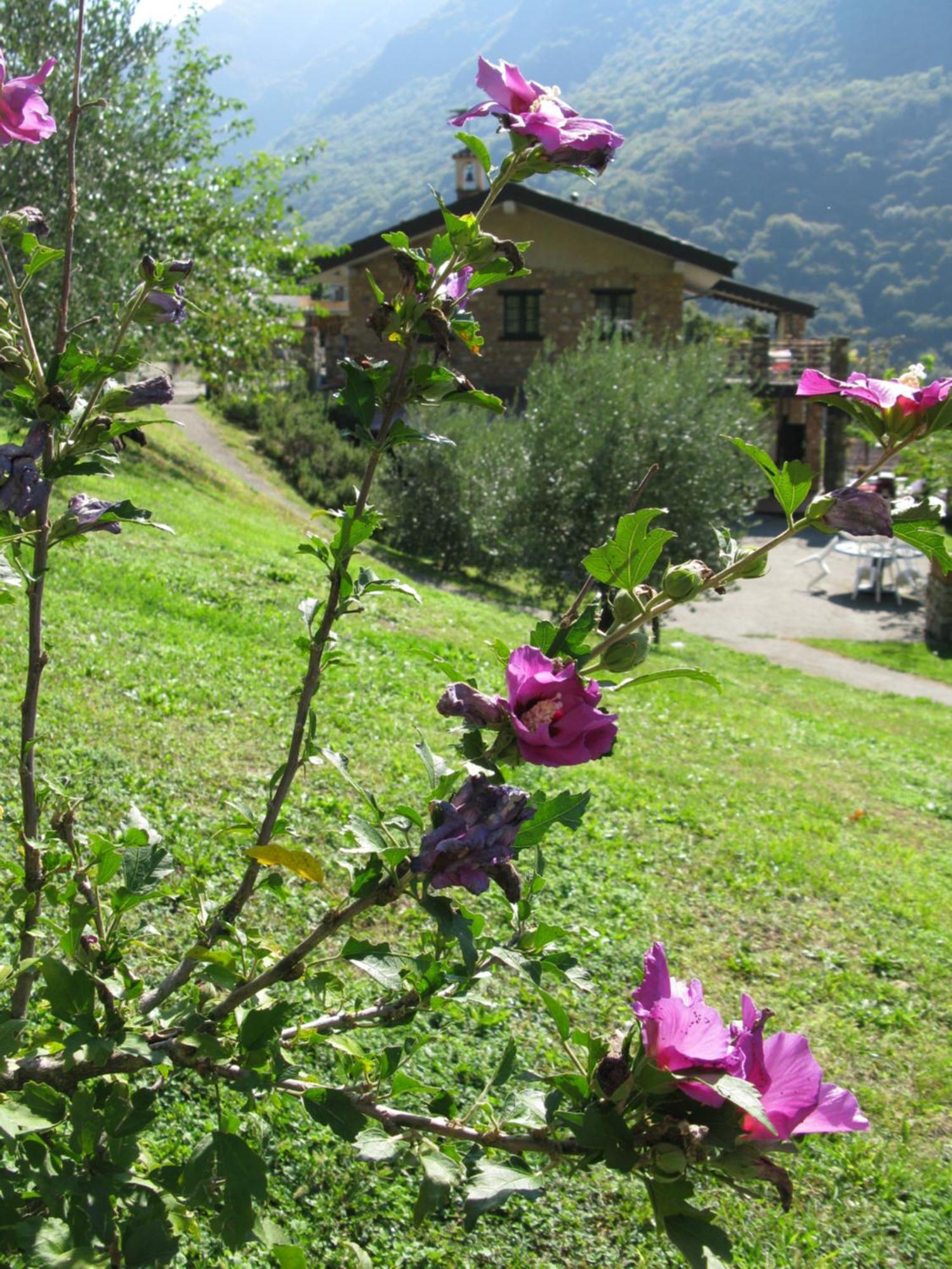 Chalet Della Rota Marone Exterior foto